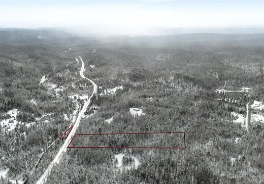 Terrain à vendre - 1227 Ch. Picanoc, Otter Lake, J0X 2P0