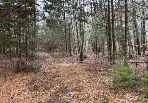 Terrain à vendre - 240 Ch. de l'Acajou, Mont-Tremblant, J0T1M0