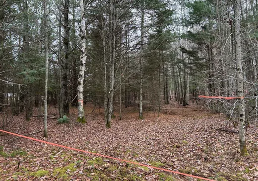 Terrain à vendre - 240 Ch. de l'Acajou, Mont-Tremblant, J0T 1M0