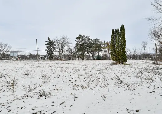 Terrain à vendre -  Rue Richelieu, Beloeil, J3G 2C9