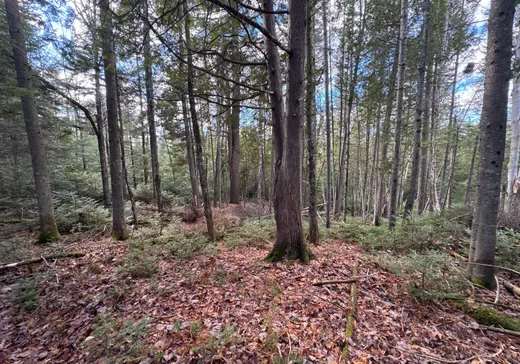 Terrain à vendre -  Rue des Bätisseurs, Sainte-Agathe-des-Monts, J8C 2Z8