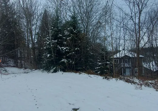 Terrain à vendre -  Rue Coursol, Mont-Laurier, J9L 1A5