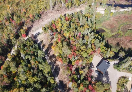 Terrain à vendre - 394 Ch. des Bêtes-Puantes, Trois-Rives, G0X 2C0