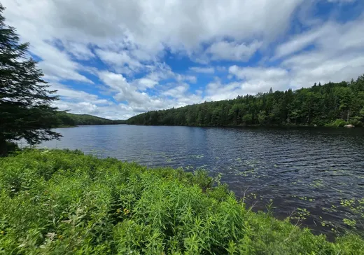 Terrain à vendre - 131 Ch. du Sirocco, St-Adolphe d'Howard, J0T2B0