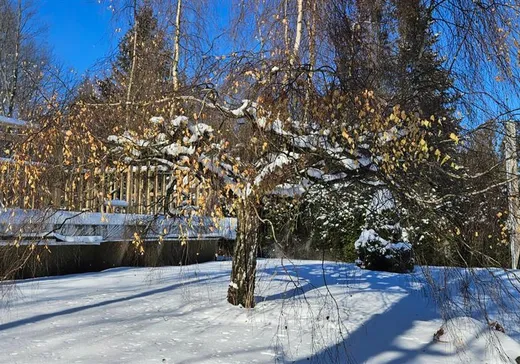 Land for Sale - 129 Rue Jones, Brigham, J2K 4H8