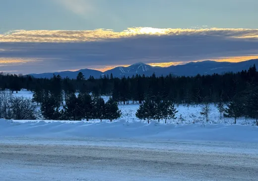 Land for sale -  Ch. du Grand-Duc, Mansonville, J0E1X0