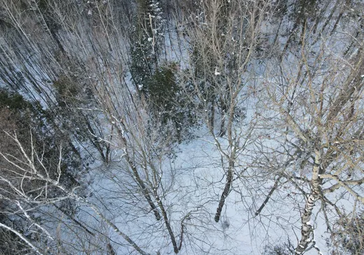 Land for Sale -  Ch. du Grand-Duc, Mansonville, J0E 1X0