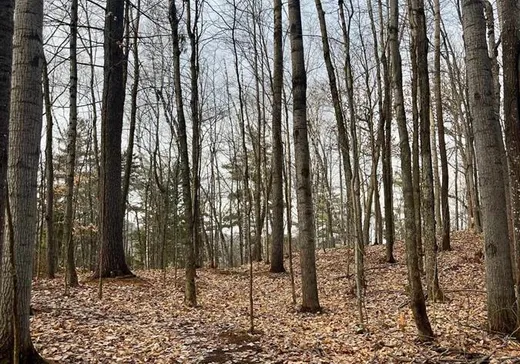 Land for sale - 15 Rue d'Arosa, Gatineau, J0X1Z0