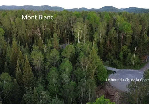 Terrain à vendre - 65T Ch. de la Charmille, Mont-Tremblant, J8E 0C4