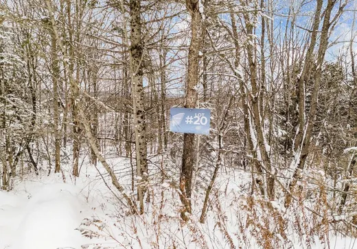 Terrain à vendre - 469 8e Avenue, Weedon, J0B 3J0