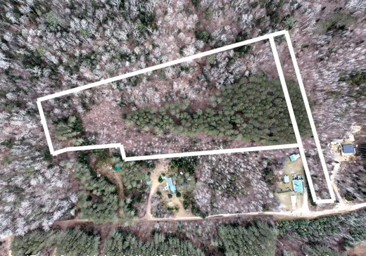 Terrain à vendre -  Ch. Constant-Nantel, St-Remi-D'Amherst, J0T 2L0