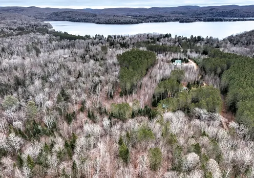 Terrain à vendre -  Ch. Constant-Nantel, St-Remi-D'Amherst, J0T 2L0