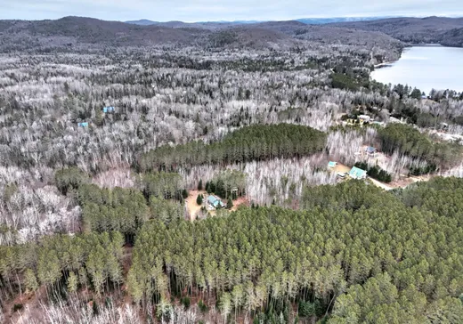 Terrain à vendre -  Ch. Constant-Nantel, St-Remi-D'Amherst, J0T 2L0