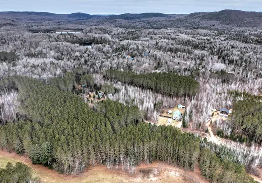 Terrain à vendre -  Ch. Constant-Nantel, St-Remi-D'Amherst, J0T 2L0