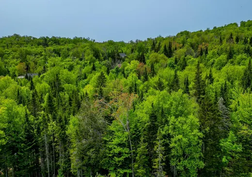 Land for Sale -  Rue des Gardénias, Val David, J0T 2N0