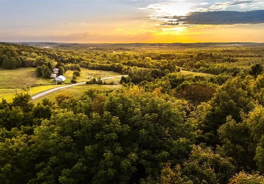 Terrain à vendre - 950 Ch. Arel, Richmond, J0B2B0