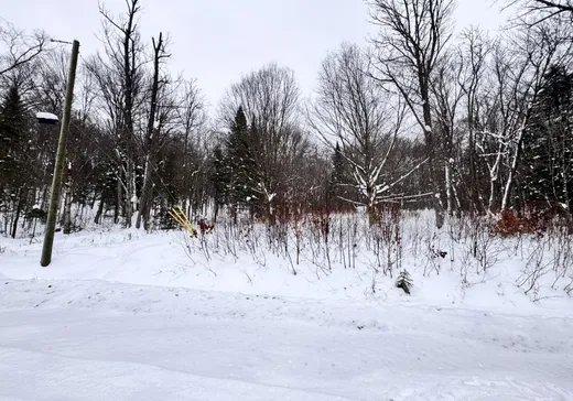 Terrain à vendre -  Rue Fernand-Labelle , Mont-Laurier, J9L 0H6