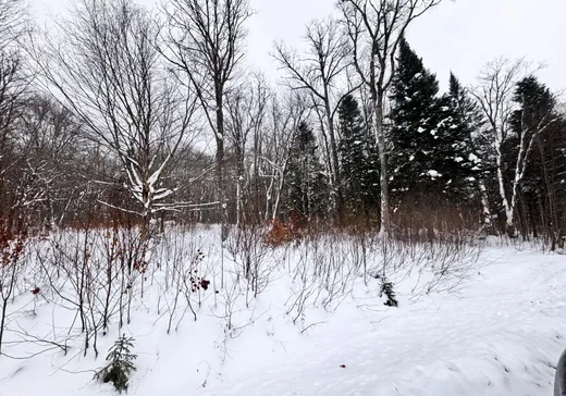 Terrain à vendre -  Rue Fernand-Labelle , Mont-Laurier, J9L 0H6