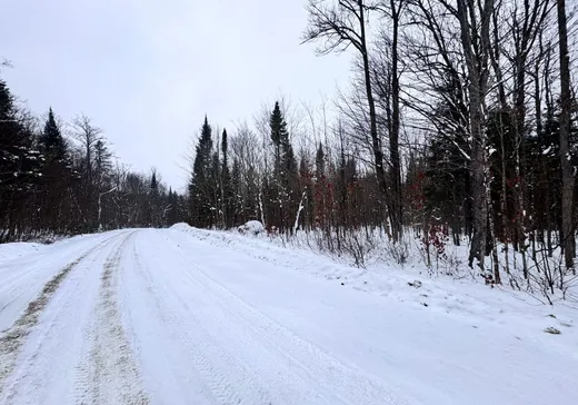 Terrain à vendre -  Rue Fernand-Labelle , Mont-Laurier, J9L 0H6