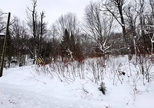 Terrain à vendre -  Rue Fernand-Labelle , Mont-Laurier, J9L 0H6