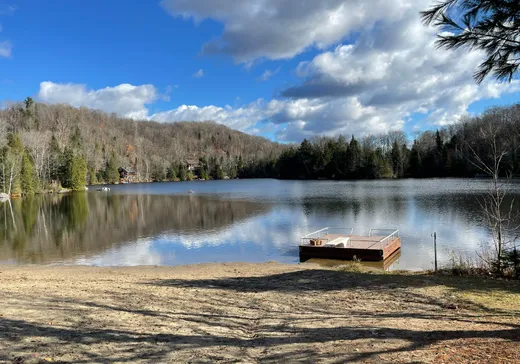 Terrain à vendre -  Ch. Forest Hill, St-Adolphe d'Howard, J0T 2B0