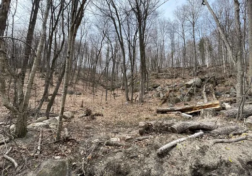 Terrain à vendre -  Ch. Forest Hill, St-Adolphe d'Howard, J0T 2B0