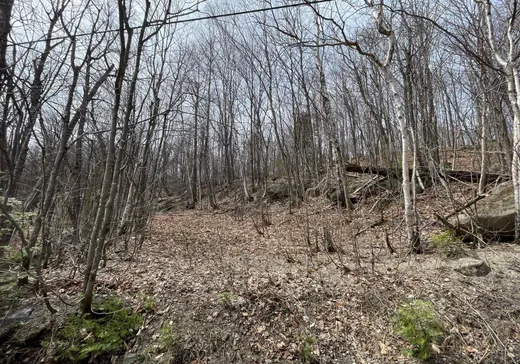 Terrain à vendre -  Ch. Forest Hill, St-Adolphe d'Howard, J0T 2B0