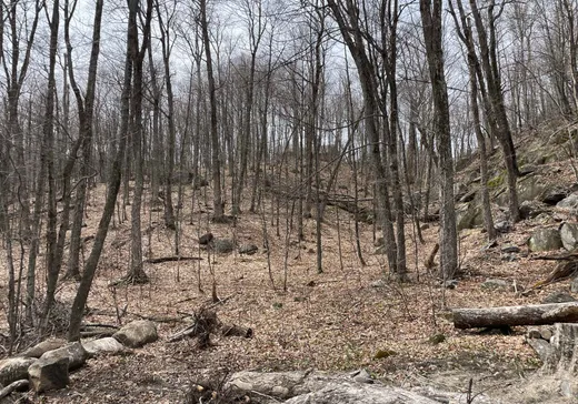 Terrain à vendre -  Ch. Forest Hill, St-Adolphe d'Howard, J0T 2B0