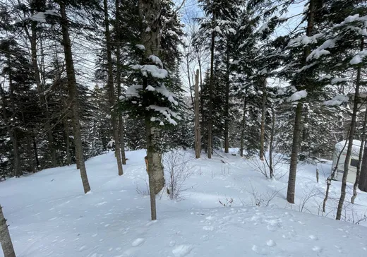 Terrain à vendre -  Rue des Érables, Wentworth, J0T1Y0