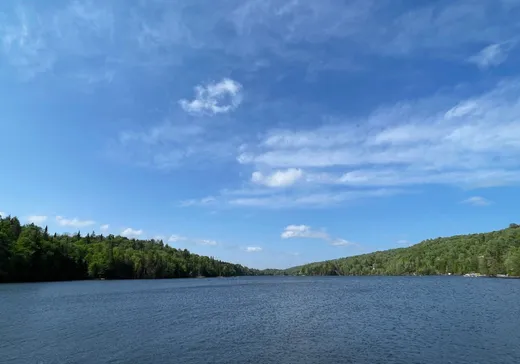 Terrain à vendre -  Rue des Érables, Wentworth, J0T 1Y0