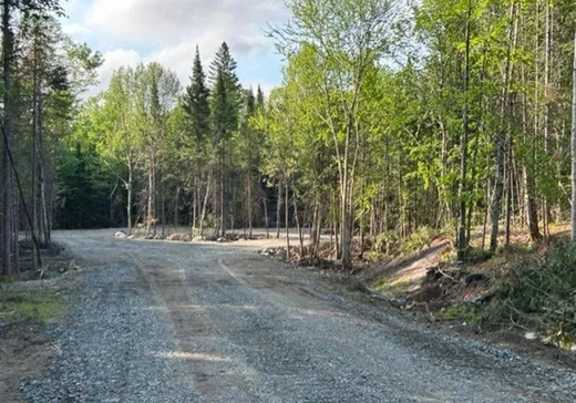 Terrain à vendre - 839 Rg Sacacomie, St-Alexis-Des-Monts, J0K 1V0