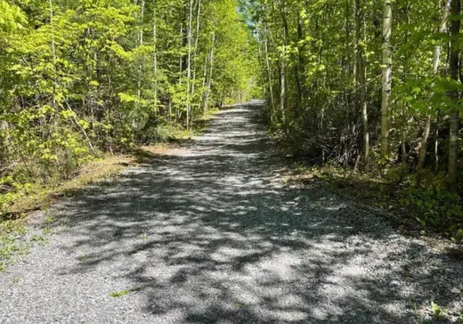 Terrain à vendre -  Ch. Gagnon, Saint-Sauveur, J0R1A0