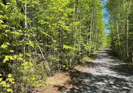 Terrain à vendre -  Ch. Gagnon, Saint-Sauveur, J0R 1A0