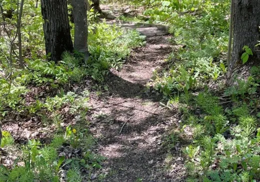 Terrain à vendre -  Ch. Gagnon, Saint-Sauveur, J0R 1A0