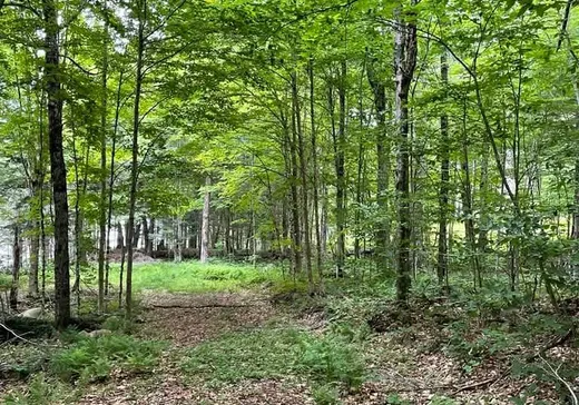 Terrain à vendre -  Ch. du Lac-de-la-Grange, Val Morin, J0T 2T0