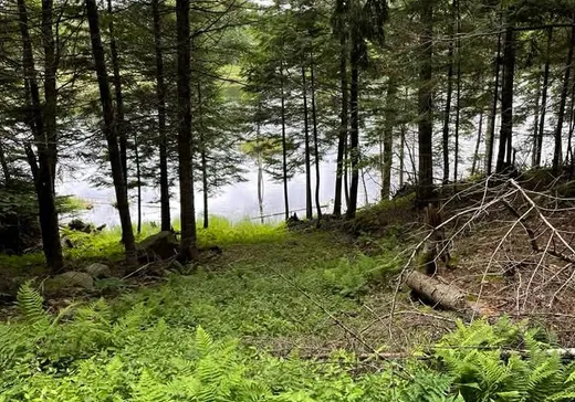 Terrain à vendre -  Ch. du Lac-de-la-Grange, Val Morin, J0T 2T0