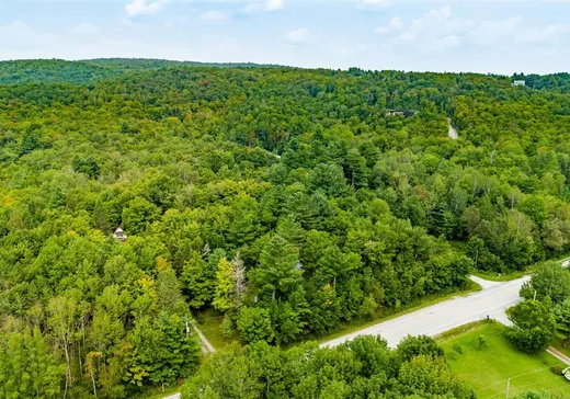 Terrain à vendre - 5224 Route 220, Orford, J1X 7M9