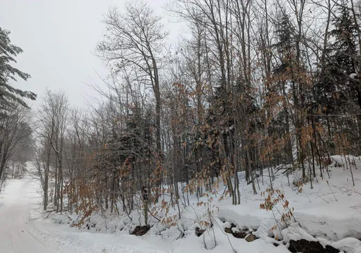 Terrain à vendre -  Côte St-Georges, Saint-Colomban, J5K 2N5