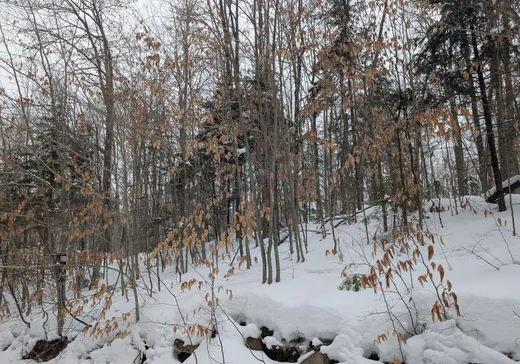 Terrain à vendre -  Côte St-Georges, Saint-Colomban, J5K 2N5