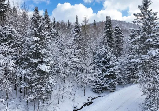 Terrain à vendre -  Rue Morin, Val Morin, J0T2R0
