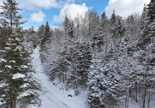 Terrain à vendre -  Rue Morin, Val Morin, J0T 2R0
