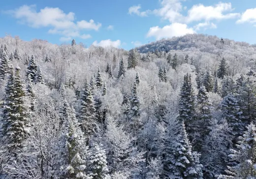Terrain à vendre -  Rue Morin, Val Morin, J0T 2R0