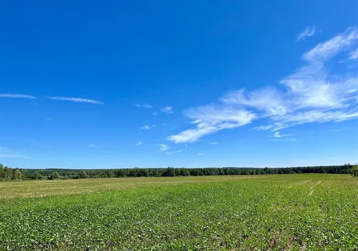 Terrain à vendre - 568Z Rue Principale, Saint-Camille-de-Lellis, G0R 2S0