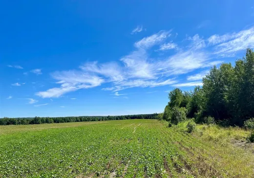 Terrain à vendre - 568Z Rue Principale, Saint-Camille-de-Lellis, G0R 2S0