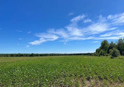 Terrain à vendre - 568Z Rue Principale, Saint-Camille-de-Lellis, G0R 2S0