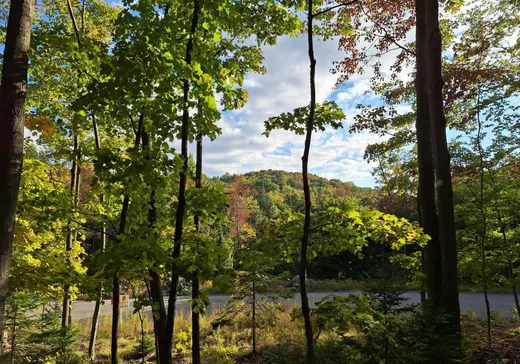 Terrain à vendre -  Ch. du Renard, Saint-Sauveur, J0R1R1