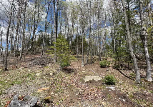 Terrain à vendre -  Ch. du Renard, Saint-Sauveur, J0R 1R1