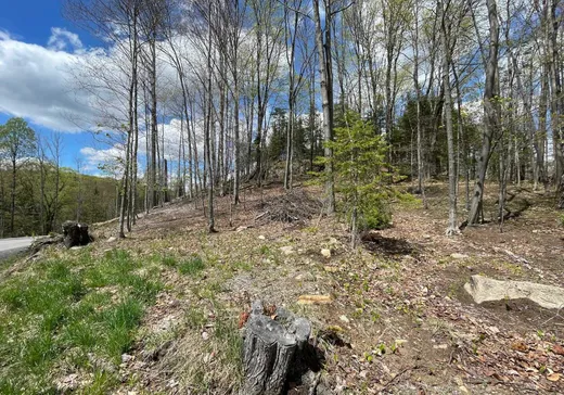 Terrain à vendre -  Ch. du Renard, Saint-Sauveur, J0R 1R1