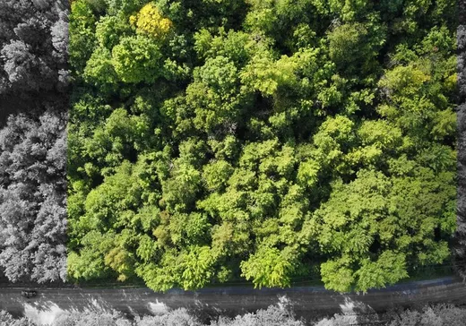 Land for Sale - 1070 Rue de la Réserve, Saint-Lucien, J0C 1N0