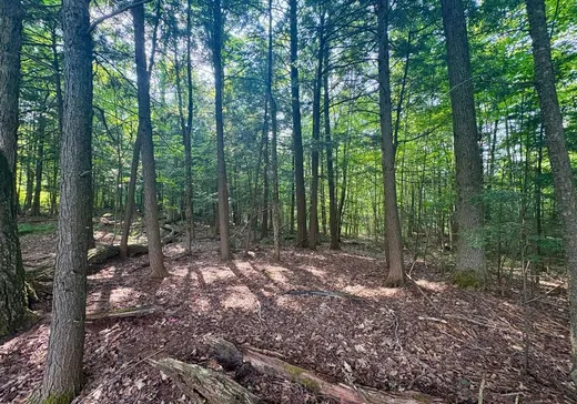 Land for Sale - 11 Ch. Peerless, Chelsea, J9B 0G4